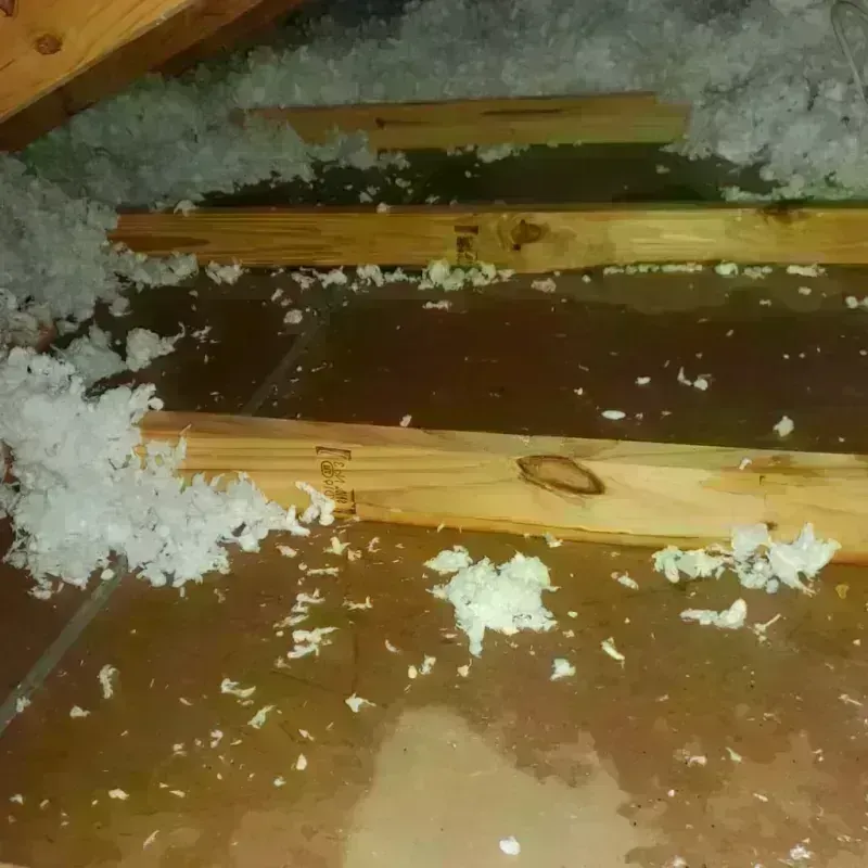 Attic Water Damage in Ida County, IA