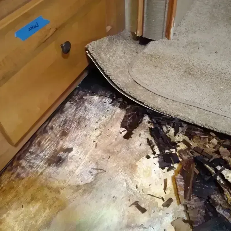 Best Wood Floor Water Damage Service in Ida County, IA